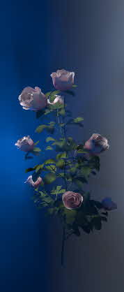 Hochzeitsbild 2
